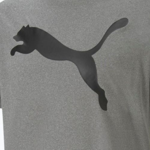 Vyriški treniruočių marškinėliai PUMA Active Big Logo Tee pilki 586724 09