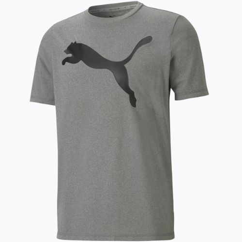 Vyriški treniruočių marškinėliai PUMA Active Big Logo Tee pilki 586724 09