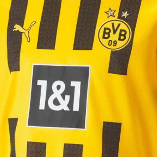 Vaikų treniruočių marškinėliai PUMA Bvb Home Jersey Replica yellow 765891 01
