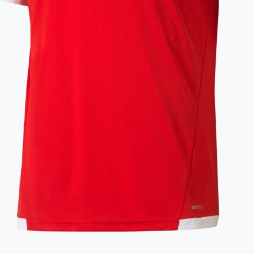 Vyriški PUMA teamLIGA Jersey futbolo marškinėliai raudoni 704917 01