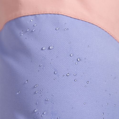 Moteriškos snieglenčių kelnės ROXY Chloe Kim Bib mellow rose