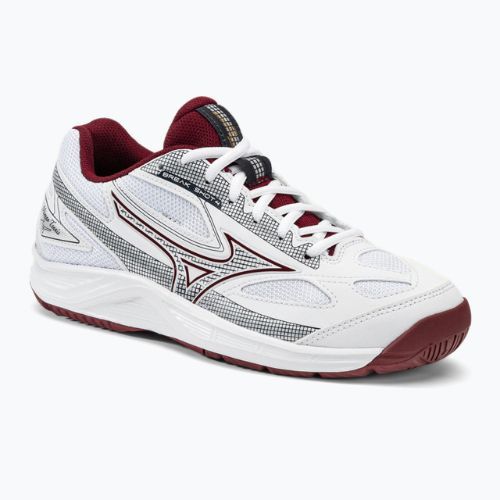 Moterų teniso bateliai Mizuno Break Shot 4 AC white 61GA232664