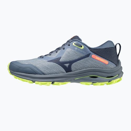 Moteriški bėgimo bateliai Mizuno Wave Rider GTX blue J1GD217947