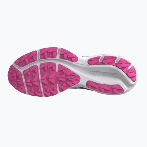 Moteriški bėgimo bateliai Mizuno Wave Rider GTX grey J1GD217922