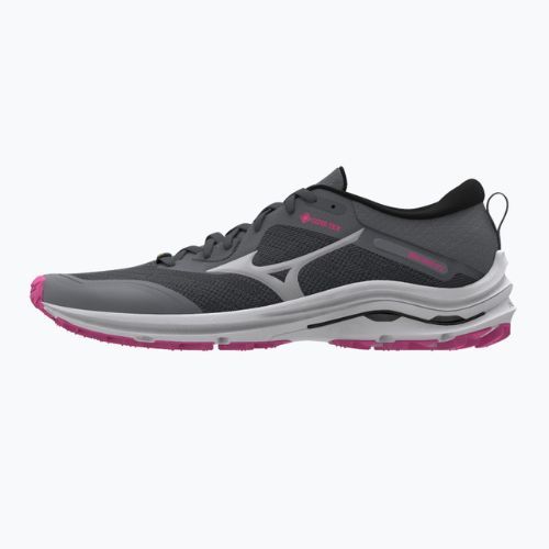 Moteriški bėgimo bateliai Mizuno Wave Rider GTX grey J1GD217922