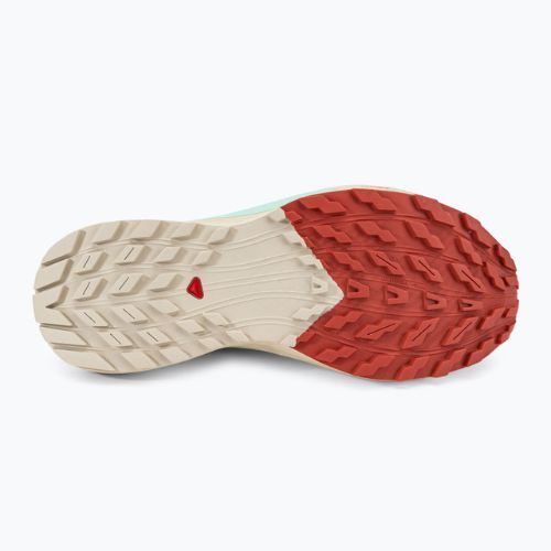 Salomon Sense Ride 5 Lily Pad/Rainy Day/Bleached Aqua moteriški bėgimo bateliai L47212300