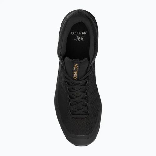Vyriški žygio batai Arc'teryx Aerios FL 2 GTX black/black
