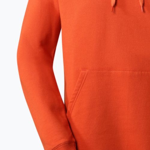 Vyriški džemperiai The North Face Outdoor Graphic Hoodie Light orange NF0A827ILV41