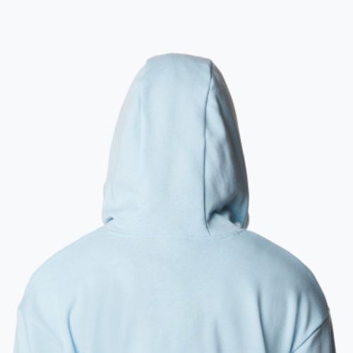 Moteriški džemperiai Columbia Logo III French Terry blue 2032871490