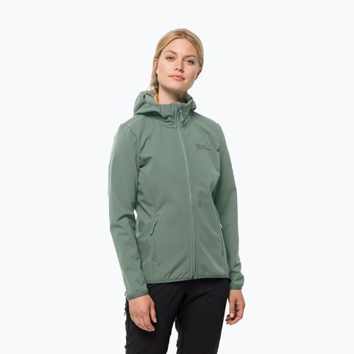 Moteriška softshell striukė Jack Wolfskin Bornberg Hoody žalia 1307691