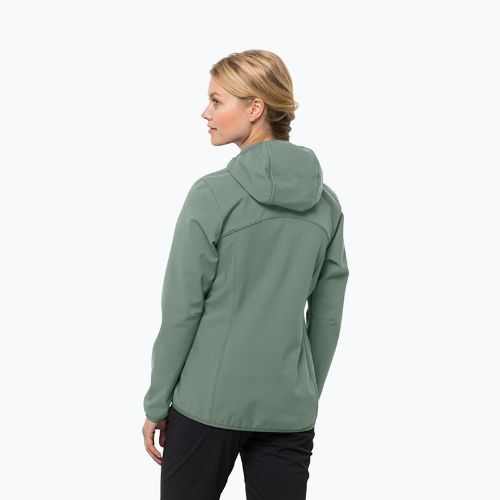 Moteriška softshell striukė Jack Wolfskin Bornberg Hoody žalia 1307691