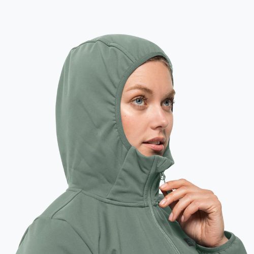 Moteriška softshell striukė Jack Wolfskin Bornberg Hoody žalia 1307691