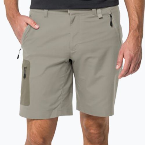 Vyriški Jack Wolfskin Active Track trekingo šortai žali 1503791