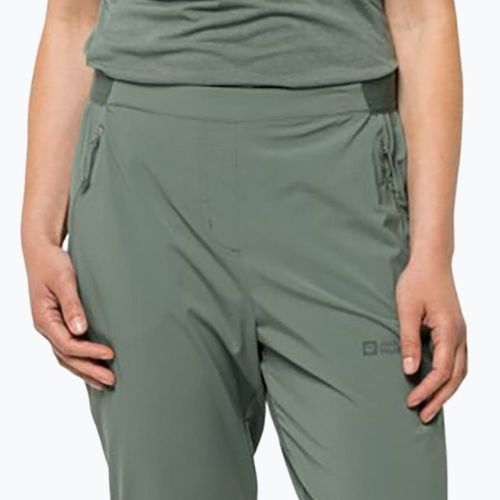 Moteriškos softshello kelnės Jack Wolfskin Prelight green 1508111