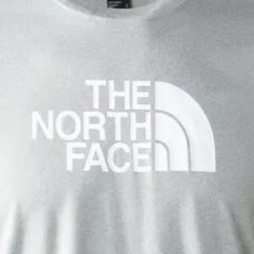 Vyriški trekingo marškinėliai The North Face Reaxion Easy Tee grey NF0A4CDV