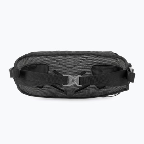 Rankinė ant juosmens Salewa Lite Train Hipbelt black
