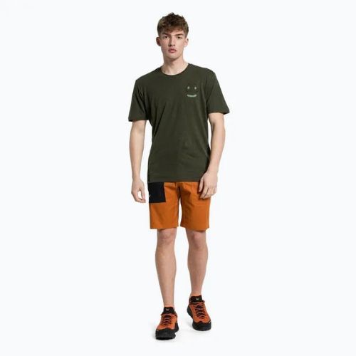 Salewa vyriški alpinistiniai marškinėliai Lavaredo Hemp Print green 00-0000028367