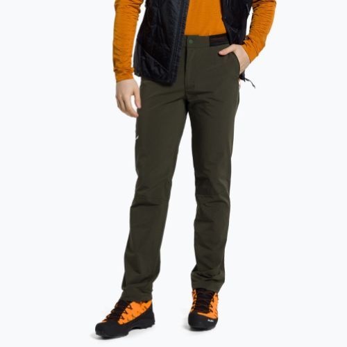 Vyriškos trekingo kelnės Salewa Pedroc 4 DST green 00-0000028591