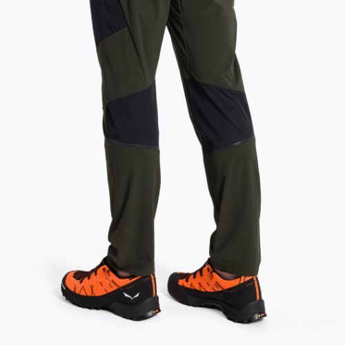 Vyriškos trekingo kelnės Salewa Pedroc 2 DST Light green 00-0000028597