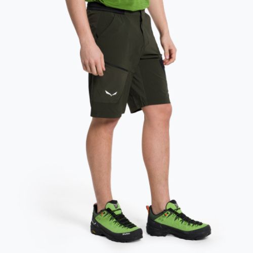 Vyriški trekingo šortai Salewa Pedroc 3 DST Cargo green 00-0000028601