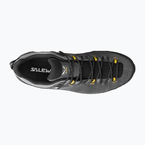 Vyriški trekingo batai Salewa Alp Trainer 2 GTX Grey 00-0000061400