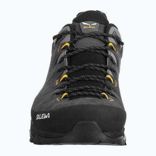 Vyriški trekingo batai Salewa Alp Trainer 2 GTX Grey 00-0000061400