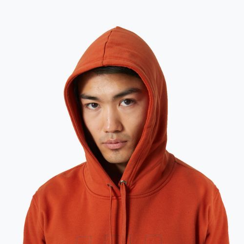 Vyriškas džemperis Helly Hansen Nord Graphic Pull Over Hoodie Red 62975_308