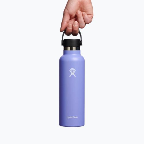 Hydro Flask Standard Flex Straw terminis butelis 620 ml, violetinės spalvos S21FS474