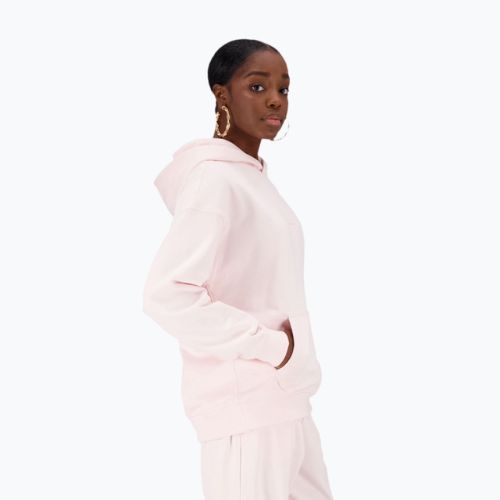 Moteriški treniruočių marškinėliai New Balance Athletics Nature State French Terry Hoodie maroon WT23554WAN