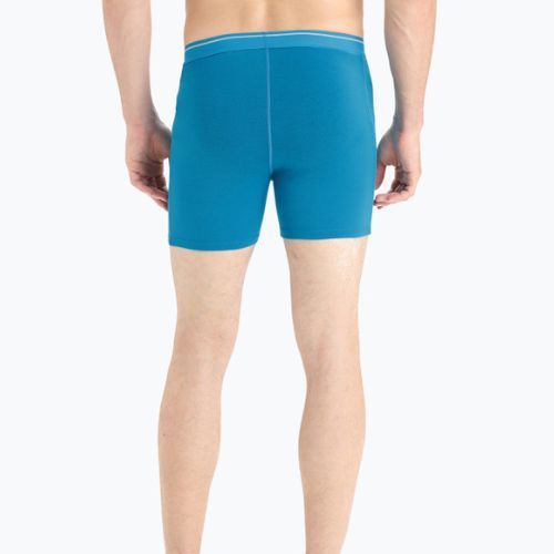 Vyriški terminiai boksininko šortai Icebreaker Anatomica geo blue