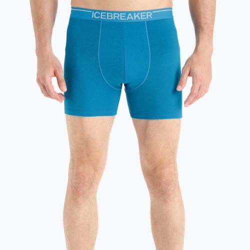 Vyriški terminiai boksininko šortai Icebreaker Anatomica geo blue
