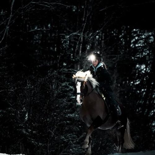 Silva Explore 4 Grey priekinis žibintas 38170