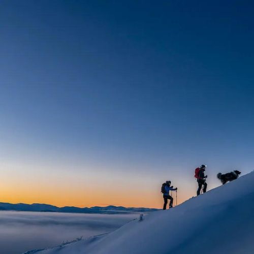 Silva Trail Speed 5R priekinis žibintas juodas 37979