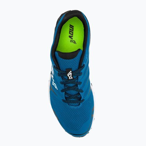Vyriški bėgimo bateliai Inov-8 Parkclaw G280 blue 000972-BLGY