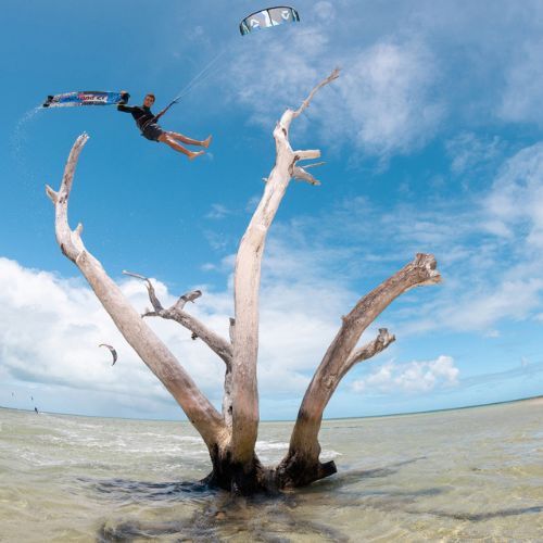 DUOTONE Evo SLS 2023 jėgos aitvaras jėgos aitvarų sportas geltonas 44230-3013