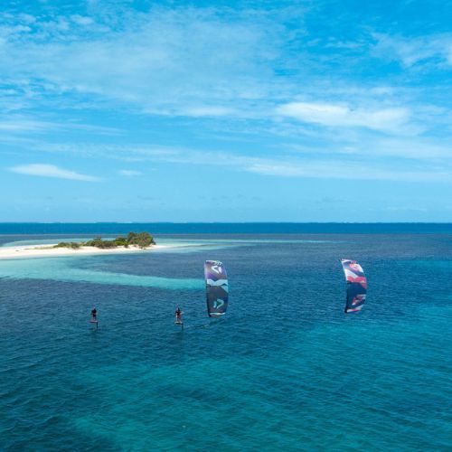 DUOTONE Evo SLS 2023 jėgos aitvaras mėlynas 44230-3013 jėgos aitvaras