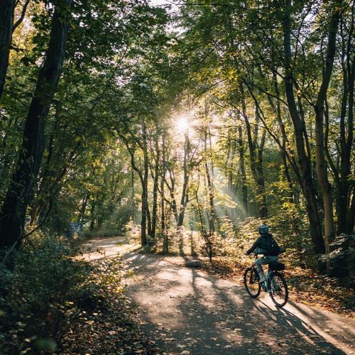 Kellys Cristy 40 moteriškas dviratis trekingas violetinės spalvos 72344