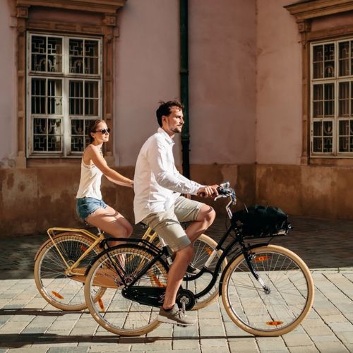 Kellys Royal Dutch 460 miesto dviratis juodas 72362