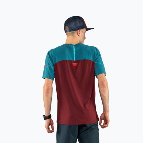 Vyriški bėgimo marškinėliai DYNAFIT Alpine Pro bordo spalvos 08-0000070964