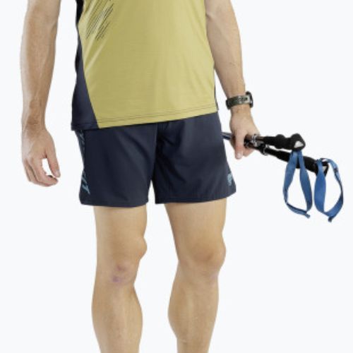 Vyriški bėgimo šortai Dynafit Alpine Pro 2/1, tamsiai mėlyni 08-0000071642