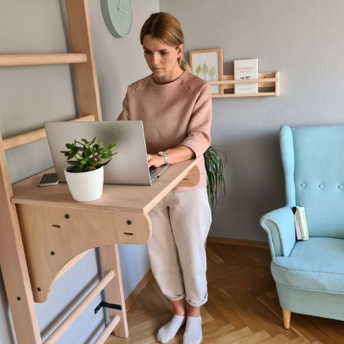 BenchK bronzinės gimnastikos kopėčios BK-112