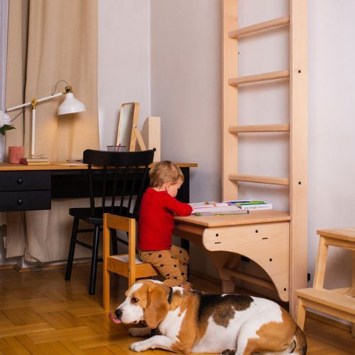 BenchK bronzinės gimnastikos kopėčios BK-112