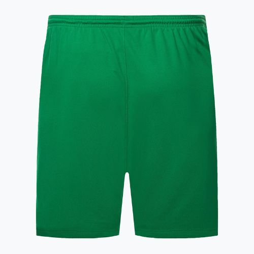 Vyriški Nike Dry-Fit Park III futbolo šortai, žali BV6855-302