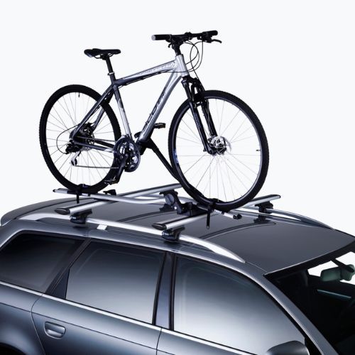 Thule ProRide Twin Pack dviračių laikiklis ant stogo sidabrinis 591040