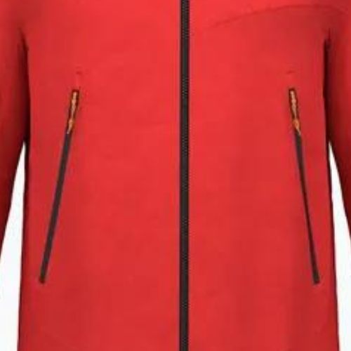 Vyriška striukė nuo lietaus Salewa Ortles GTX 3L flame