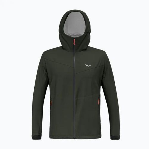Vyriška striukė nuo lietaus Salewa Puez Aqua 4 PTX 2.5L dark olive/0910