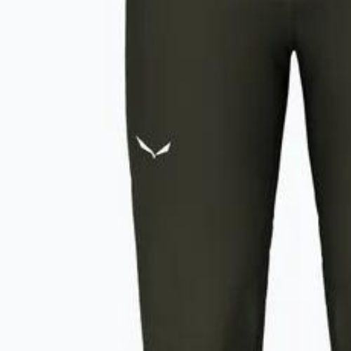 Vyriškos žygio kelnės Salewa Pedroc 2 DST Reg dark olive