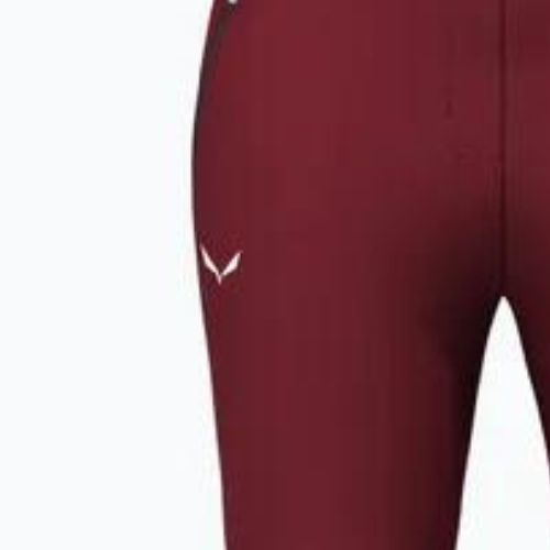 Moteriškos žygio kelnės Salewa Pedroc 2 DST Reg syrah