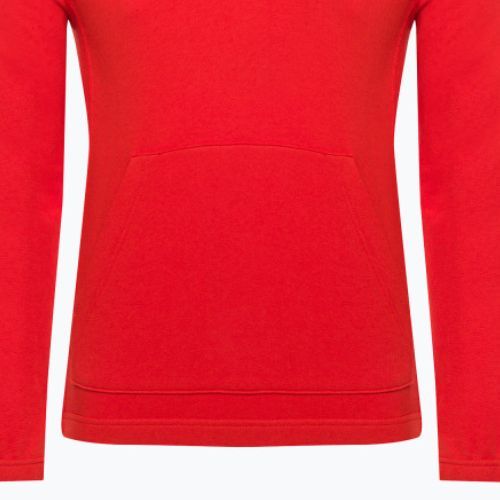 Calvin Klein vyriški džemperiai su gobtuvu XNZ Hazard