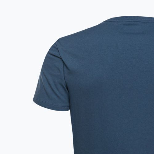 Vyriški Calvin Klein kreidiniai mėlyni marškinėliai